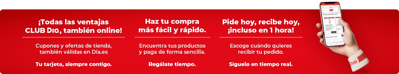 Ventajas de hacer la compra online en Dia