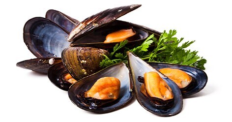 alimento mejillones