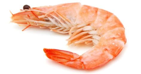 alimento langostinos
