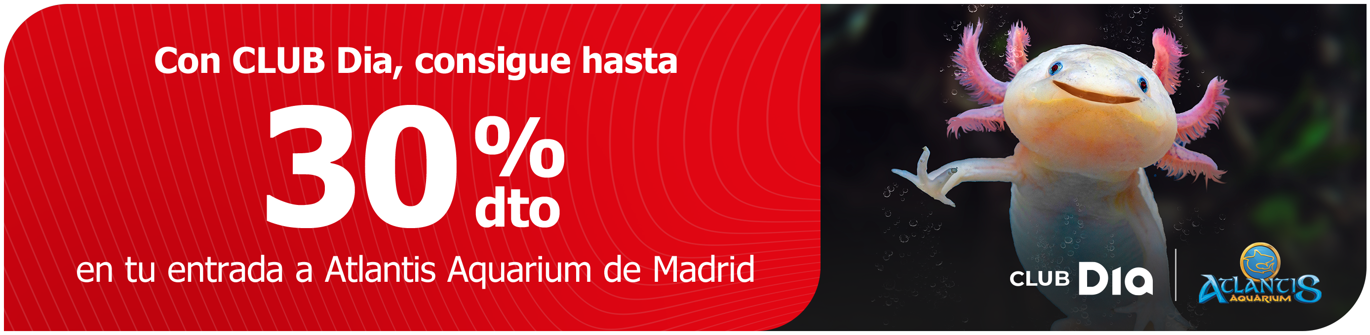 CLUB Dia te sumerge el mundo marino con Atlantis