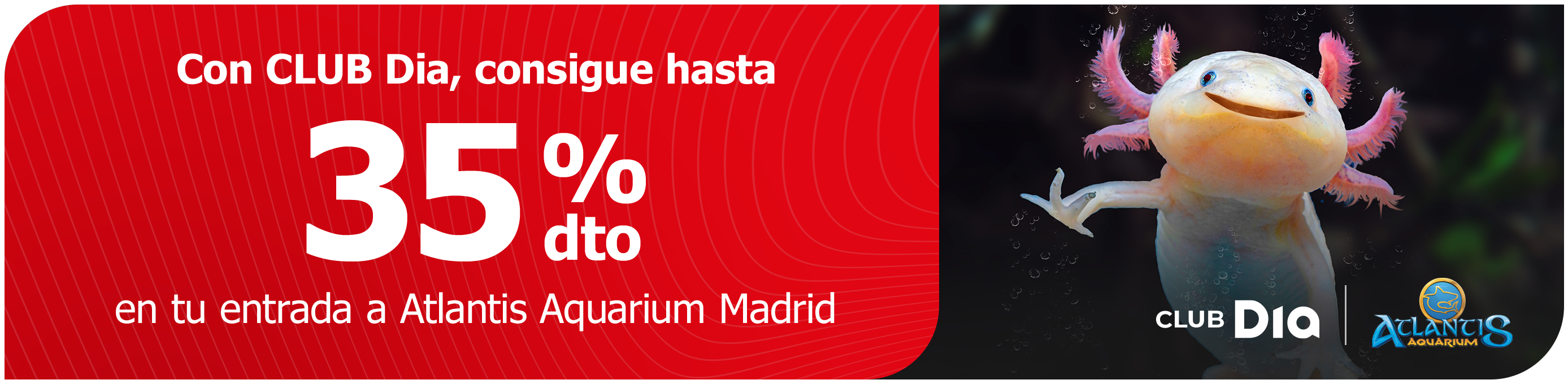 CLUB Dia te sumerge el mundo marino con Atlantis