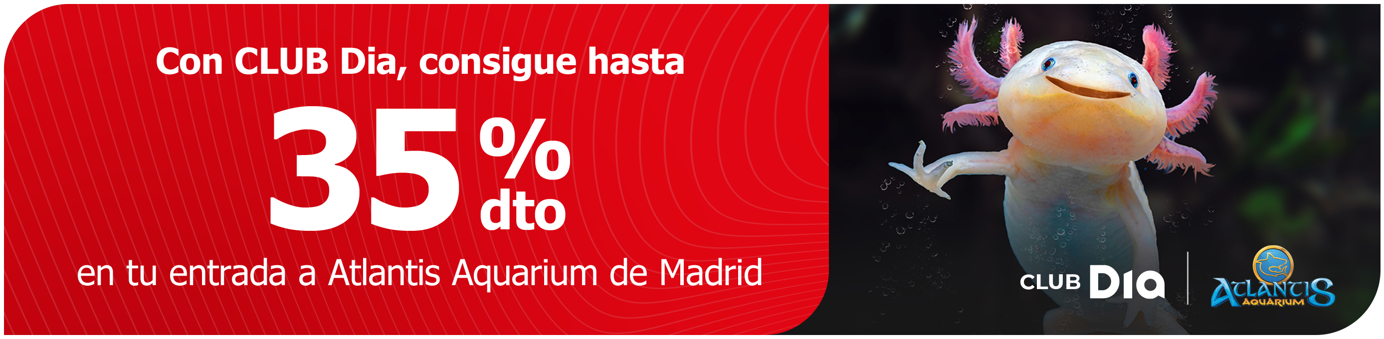 CLUB Dia te sumerge el mundo marino con Atlantis CLUB Dia te sumerge el mundo marino con Atlantis