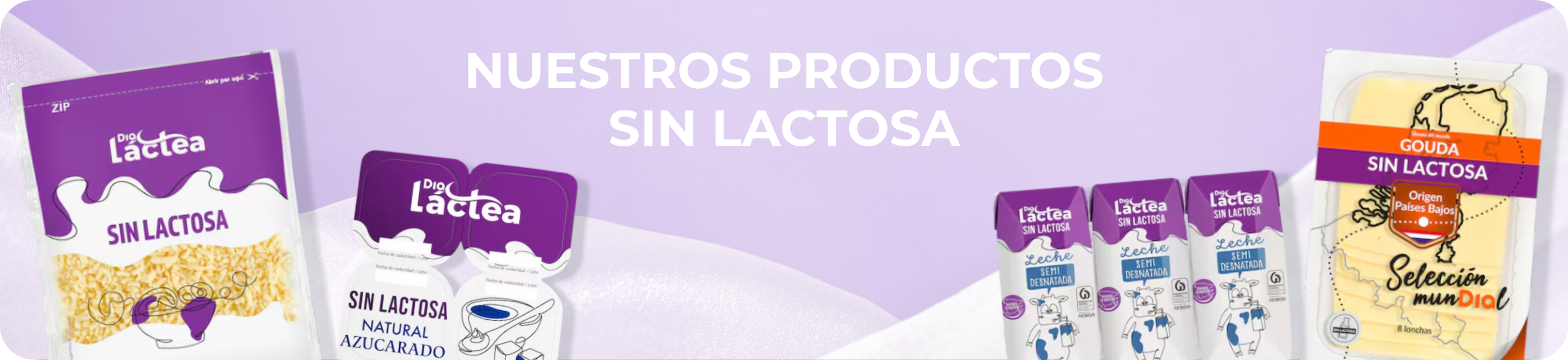 En supermercados Dia tenemos una amplia gama de productos sin lactosa pensados exclusivamente para tu bienestar En supermercados Dia tenemos una amplia gama de productos sin lactosa pensados exclusivamente para tu bienestar