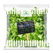 Canónigos Vegecampo de Dia bolsa 100 g