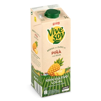 Bebida de zumo de piña y soja Pascual Vivesoy brik 1 l-0