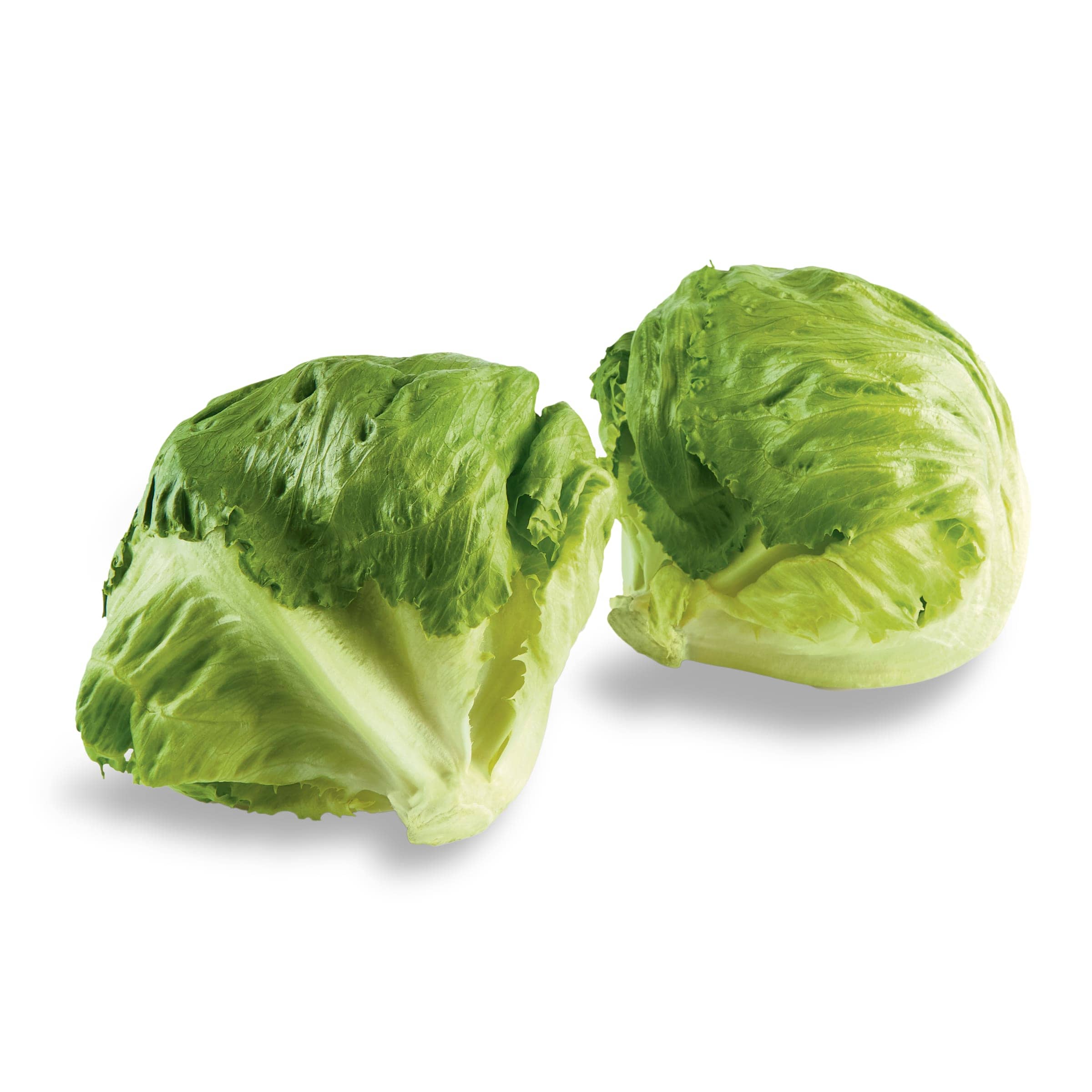 Lechuga iceberg unidad