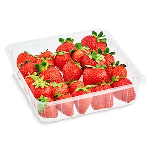 freson bandeja 500 g