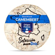 Queso camembert Selección Mundial tarrina 250 g