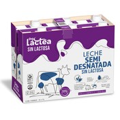 Leche semidesnatada sin lactosa Dia Láctea brik 6 x 1 l