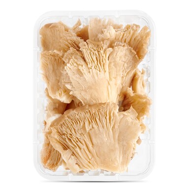 Seta ostra bandeja 200 g-1 Seta ostra bandeja 200 g-1