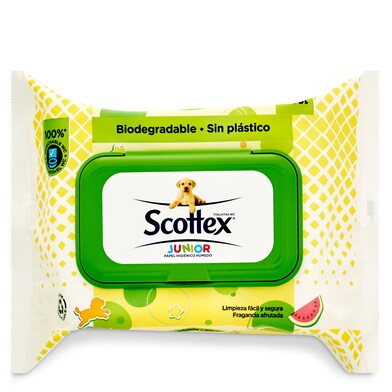 Toallitas húmedas wc Scottex bolsa 74 unidades-0