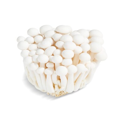 Seta shimeji bandeja 150 g-0 Seta shimeji bandeja 150 g-0