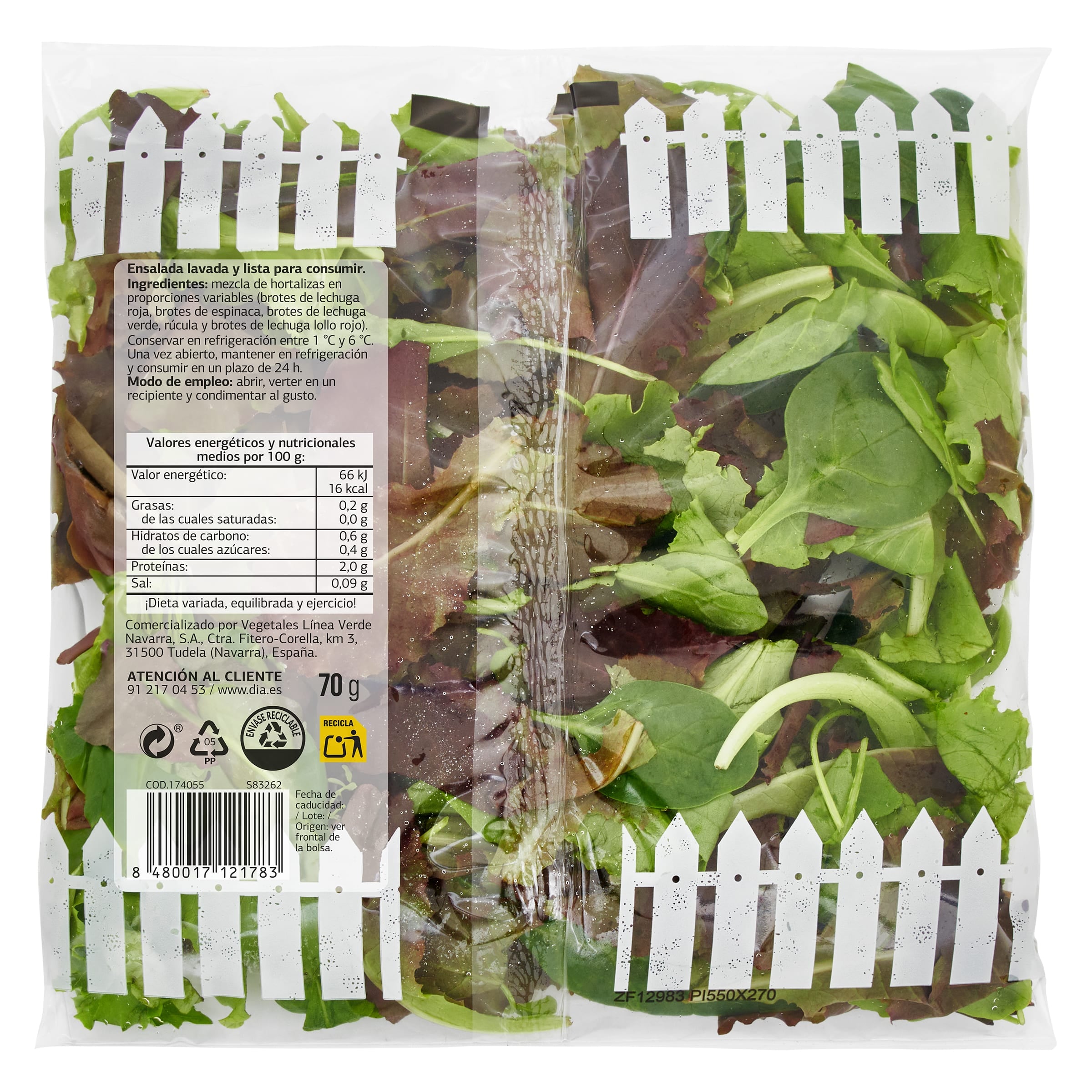 Brotes tiernos Dia Vegecampo 70 g