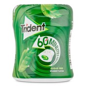 Chicles sabor hierbabuena 60 minutos Trident bote 68.2 g