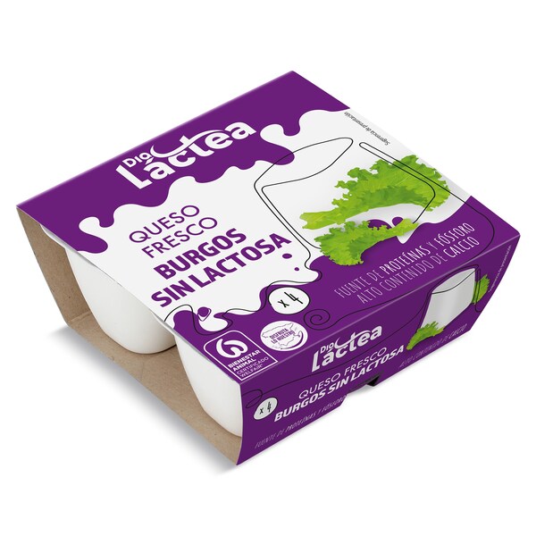 Queso Fresco sin Lactosa Dia Lactea Pack 4 X 62,5 Gr.