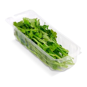 cilantro 20 g