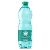 Agua mineral con gas Dia botella 50 cl