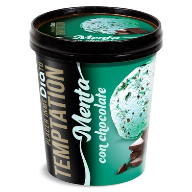 Helado de menta con virutas de chocolate TEMPTATION  TARRINA 350 GR-0
