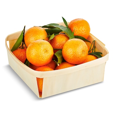 Mandarina cesta 1 kg-0