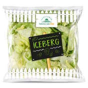 Lechuga iceberg lavada Vegecampo de Dia bolsa 250 g