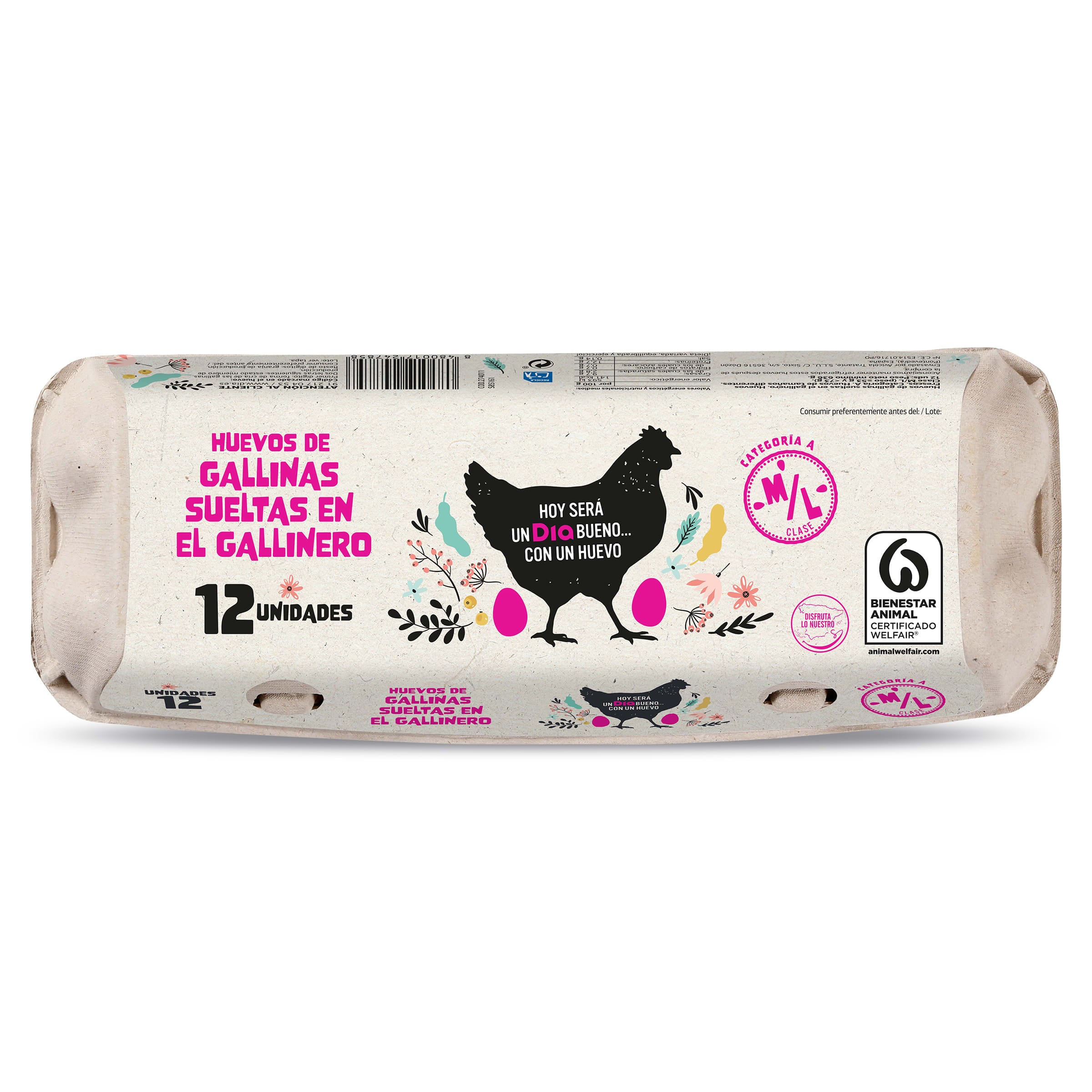Huevos medianos/grandes M/L de gallinas criadas en el suelo Dia 12 unidades