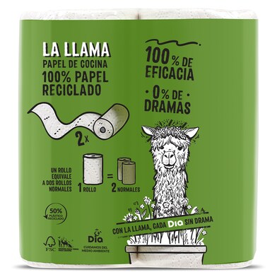 Papel de cocina compacto reciclado doble rollo LA LLAMA BOLSA 2 UD-1 Papel de cocina compacto reciclado doble rollo LA LLAMA BOLSA 2 UD-1