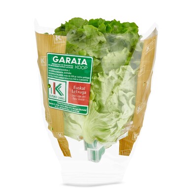 Lechuga batavia eusko label bolsa 250 g-0 Lechuga batavia eusko label bolsa 250 g-0