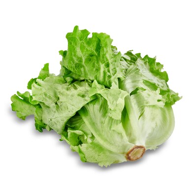 Lechuga batavia eusko label bolsa 250 g-1 Lechuga batavia eusko label bolsa 250 g-1
