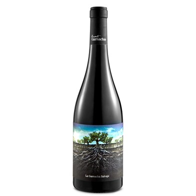 Vino tinto de Ribera del Queiles Garnacha salvaje moncayo botella 75 cl-0