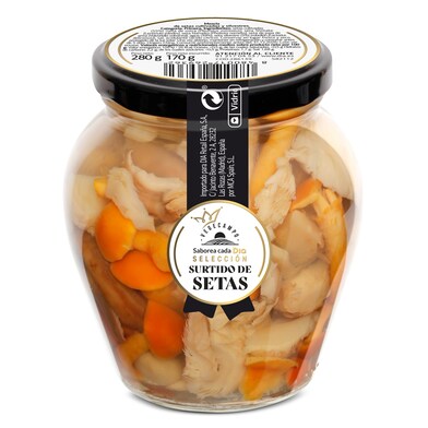 Surtido de setas Vegecampo de Dia frasco 170 g-0
