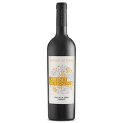 Vino tinto cabernet sauvignon IGP Señorío de Ayerbe botella 75 cl