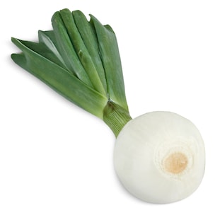 cebolla tierna unidad