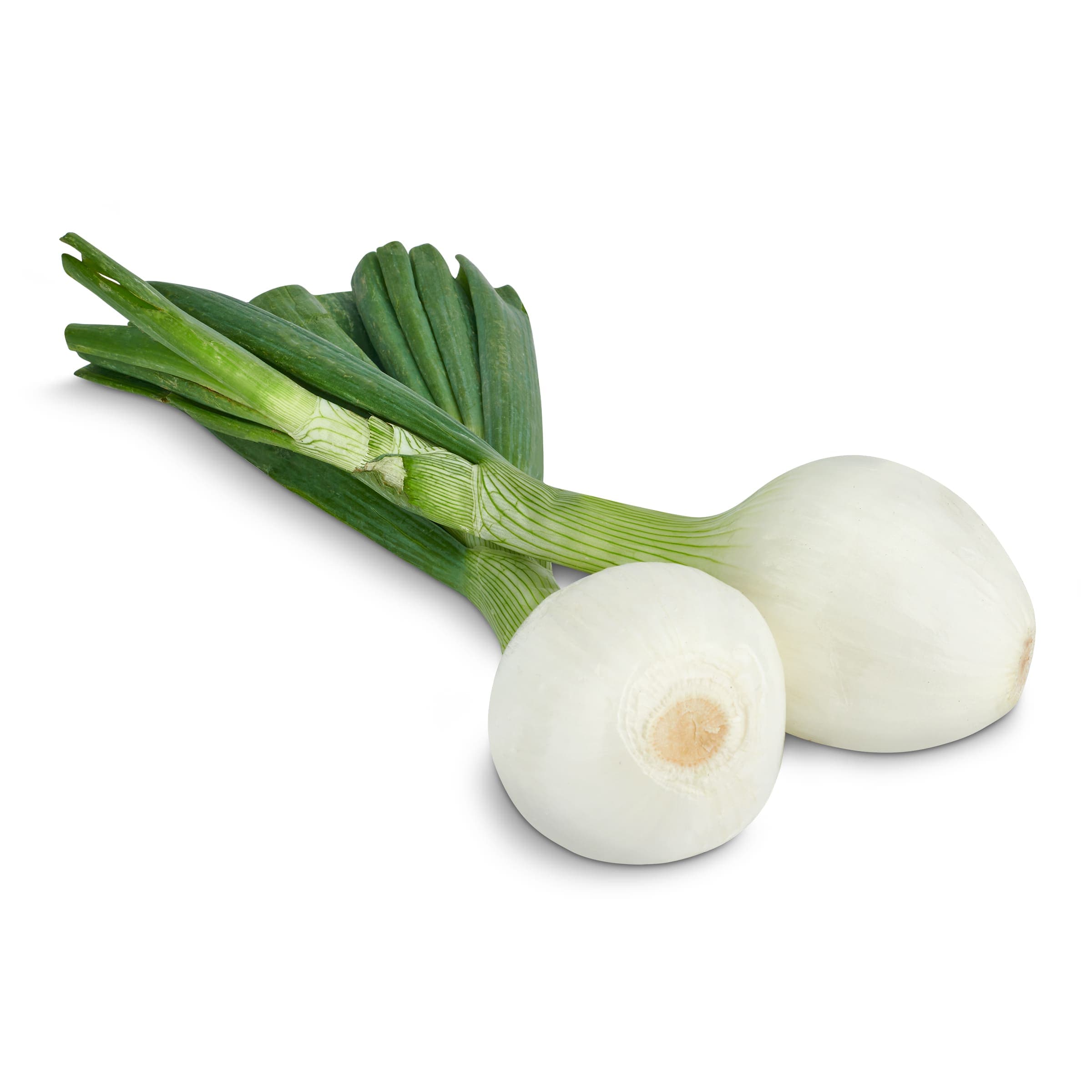 Cebolla tierna unidad