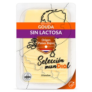 queso gouda sin lactosa 160 g
