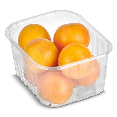 Ciruela rose bandeja 500 g-0 Ciruela rose bandeja 500 g-0
