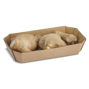 jengibre bio bandeja 100 g