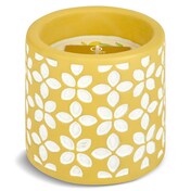 Vela sicilian lemon Imaqe de Dia 1 unidad