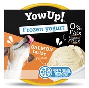 Yogur helado sabor salmon tartar Yow up tarrina 110 g