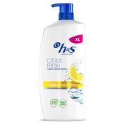 Champú anticaspa citrus fresh cabello graso H&s botella 800 ml
