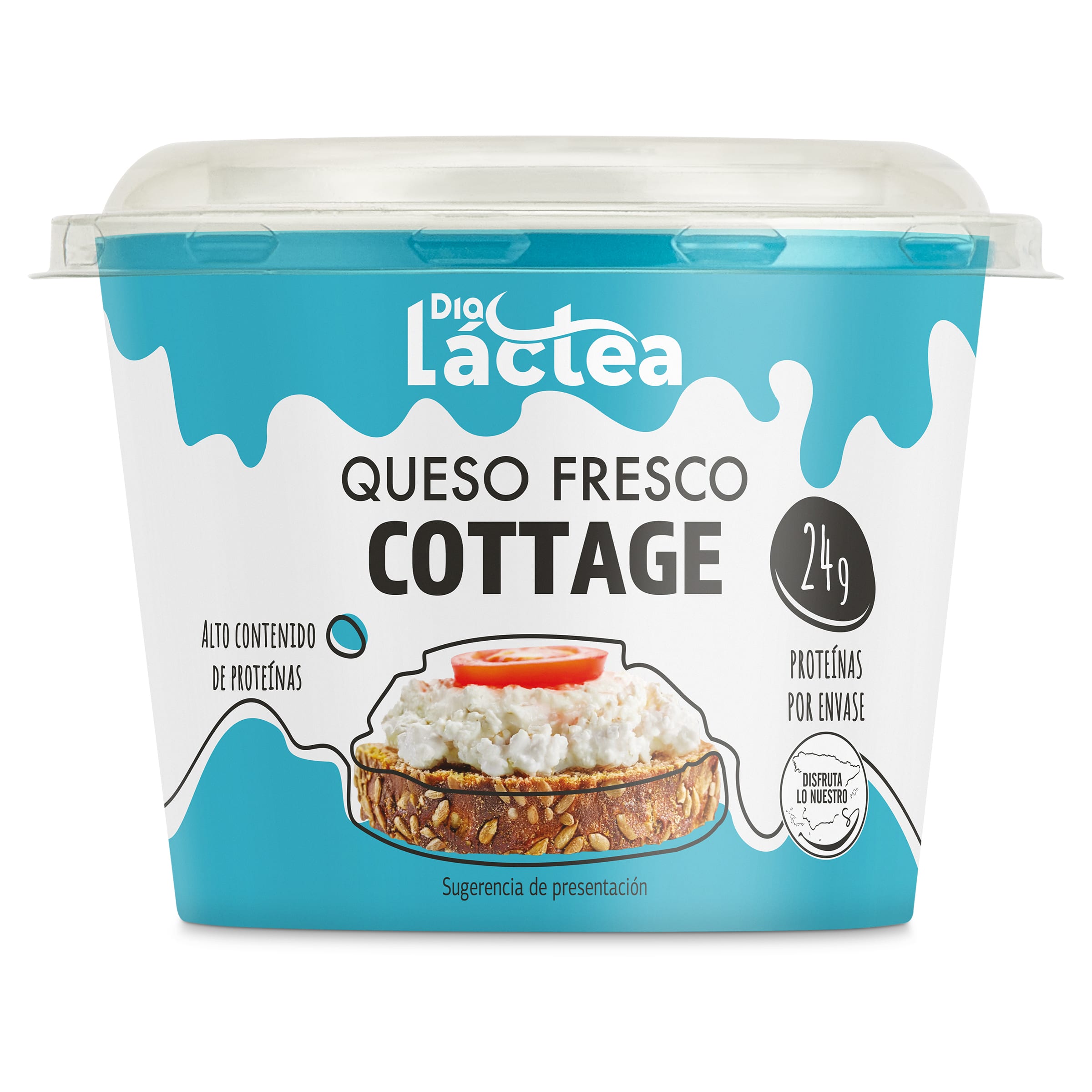 Queso fresco cottage Dia Láctea 200 g