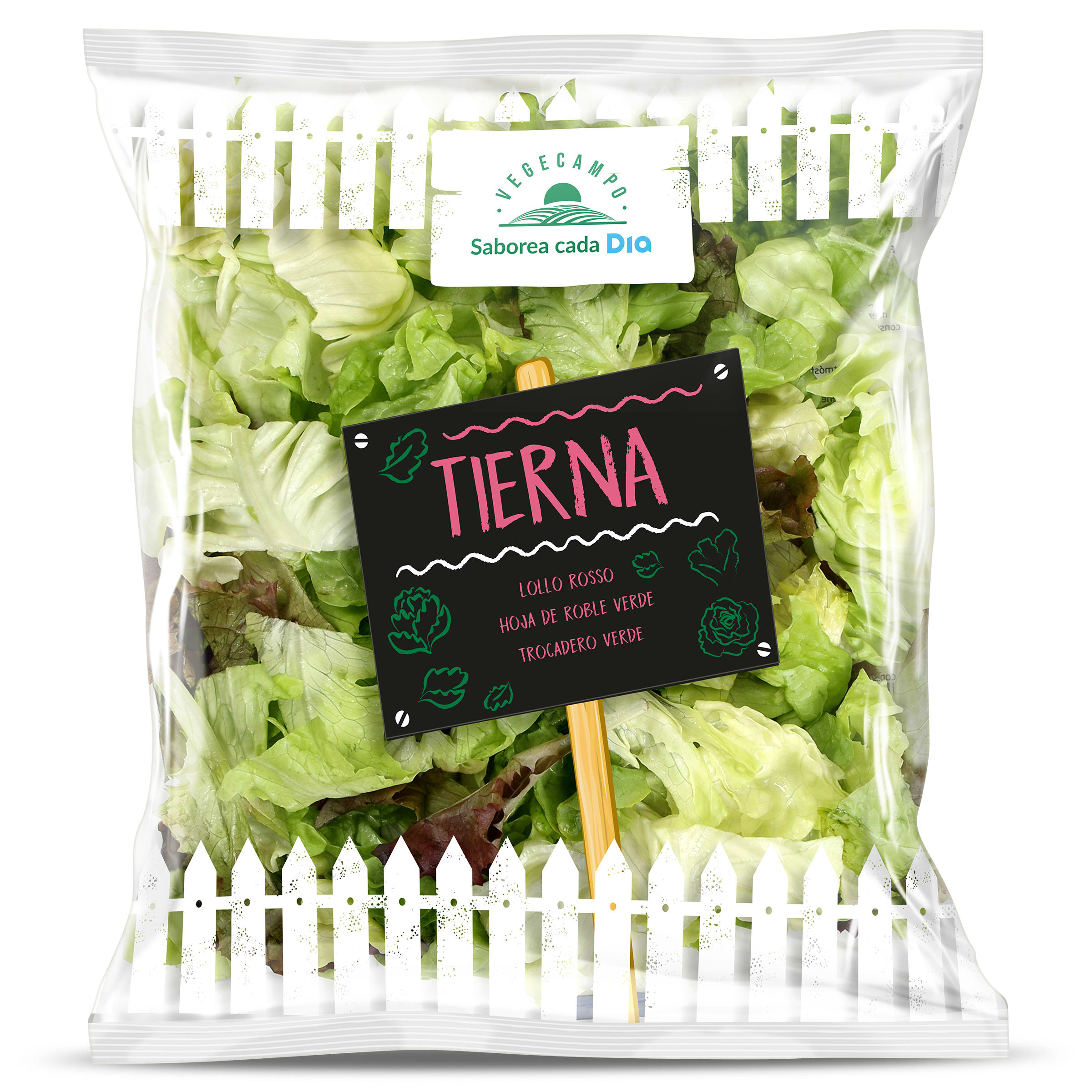 Ensalada tierna Dia Vegecampo bolsa 125 g