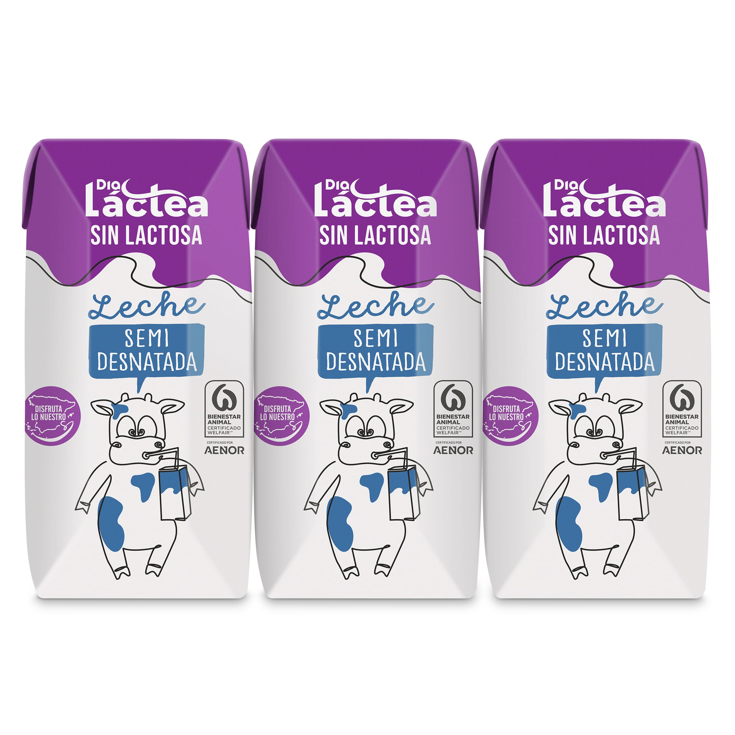 Leche semidesnatada sin lactosa Dia Láctea 3 x 200 ml