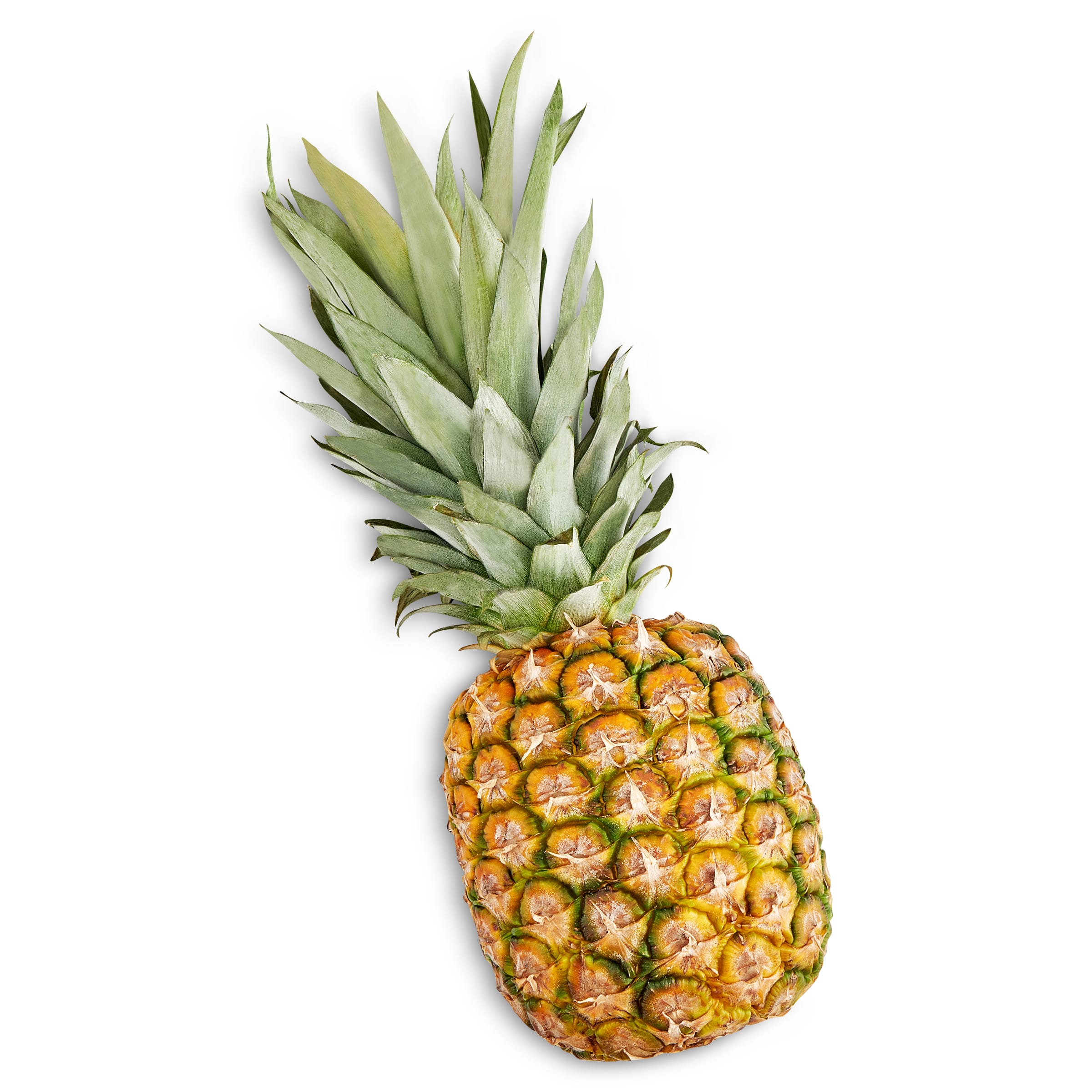 Piña unidad 1.5 Kg aprox.