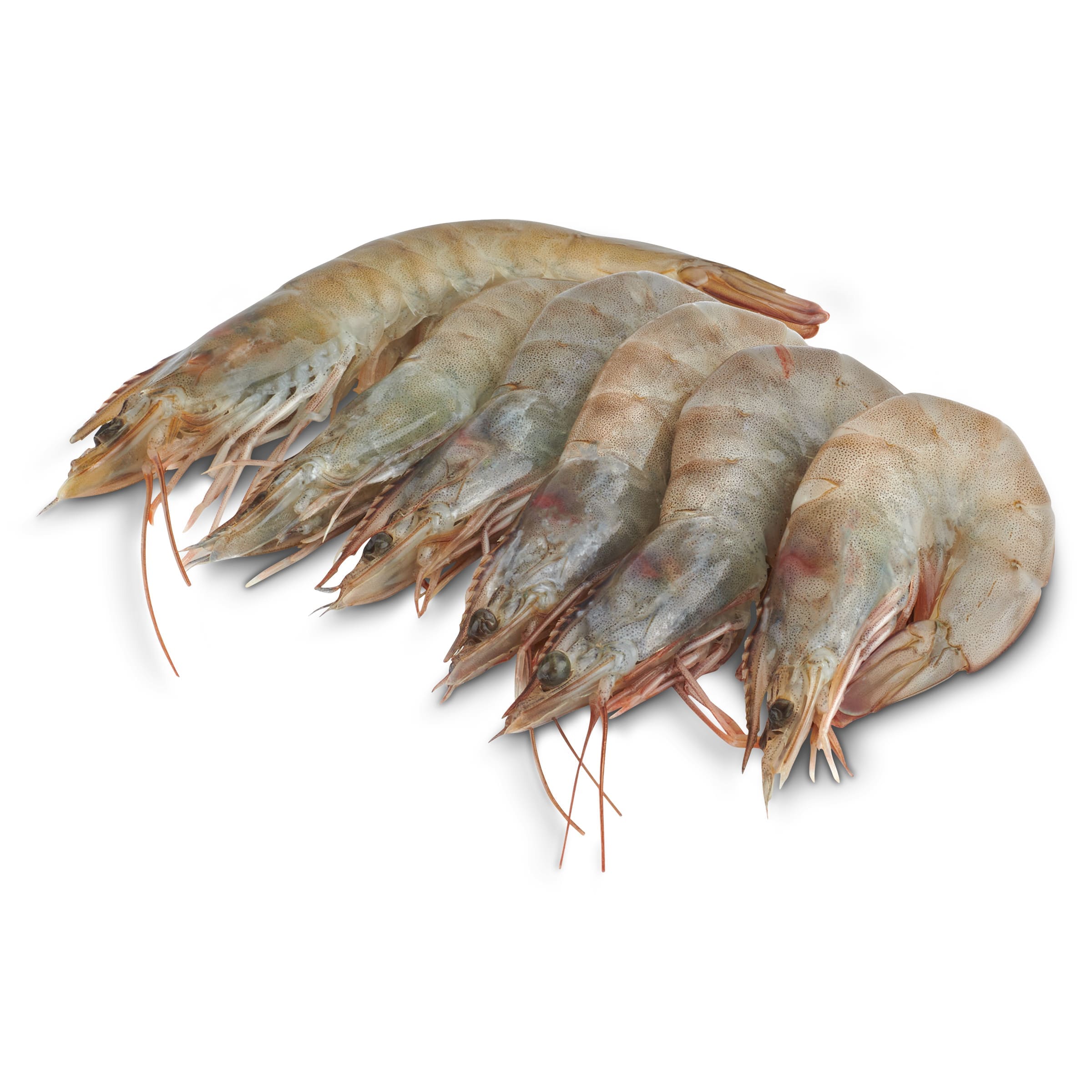 Langostino crudo grande 32/48 piezas Dia Mari Marinera 800 g
