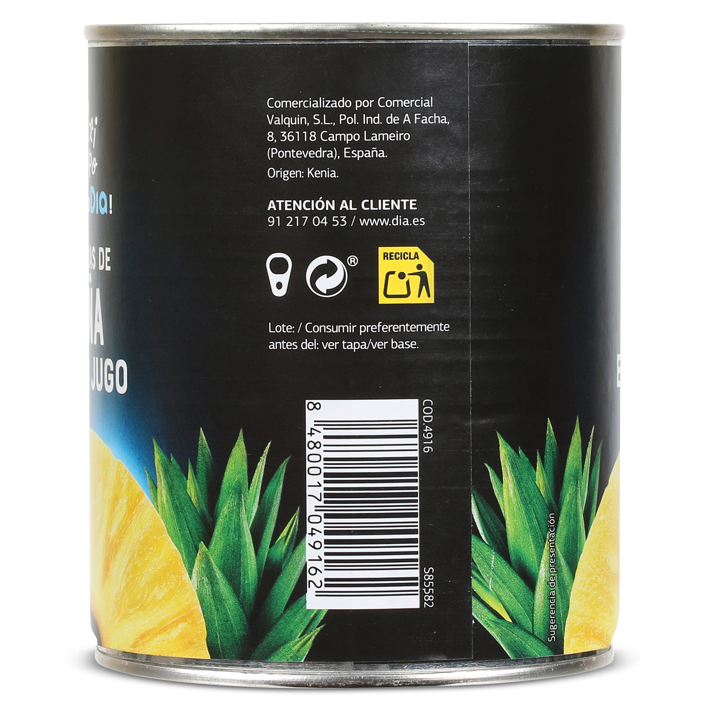 Piña en su jugo en rodajas Dia Fruticampo 490 g
