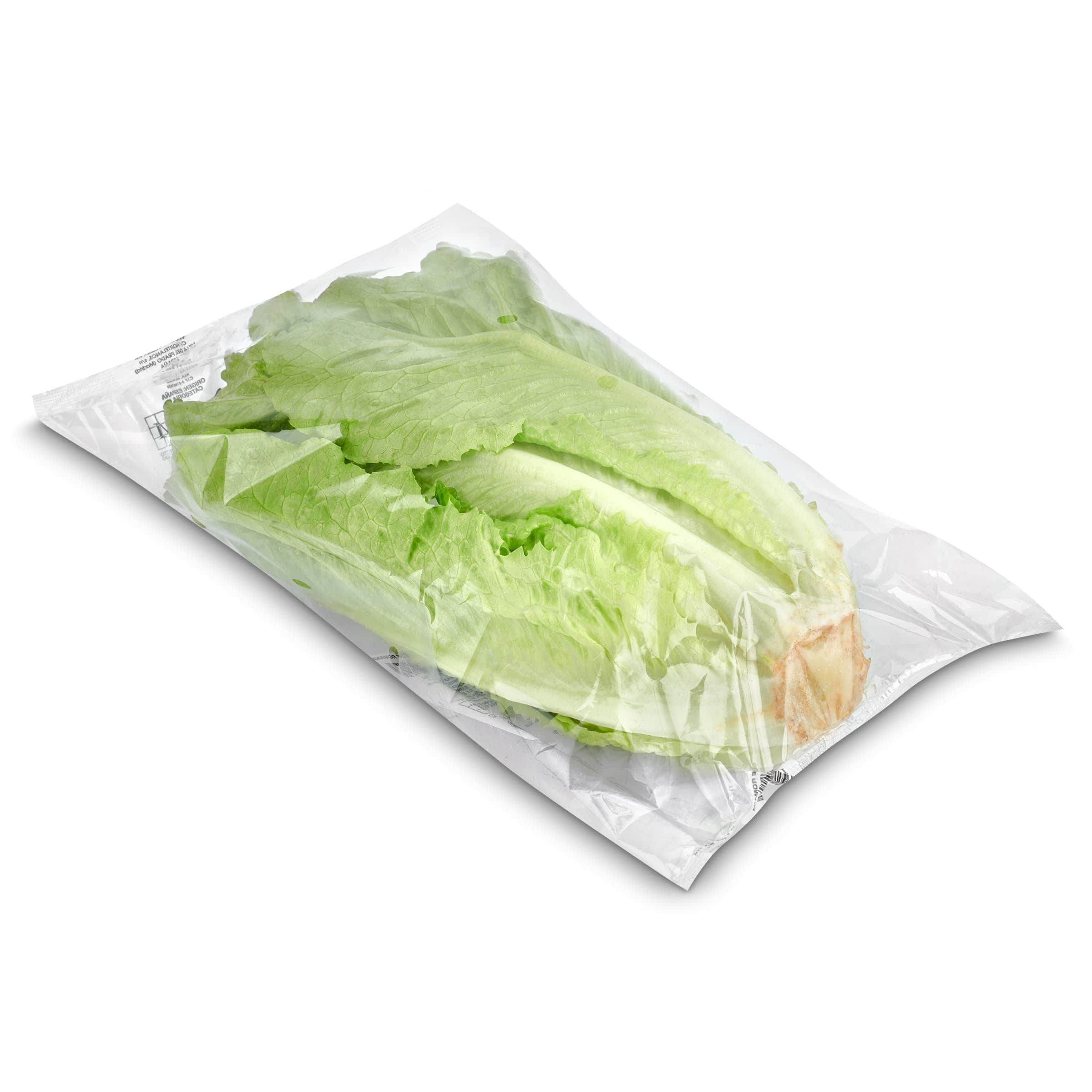 Corazón de lechuga romana unidad
