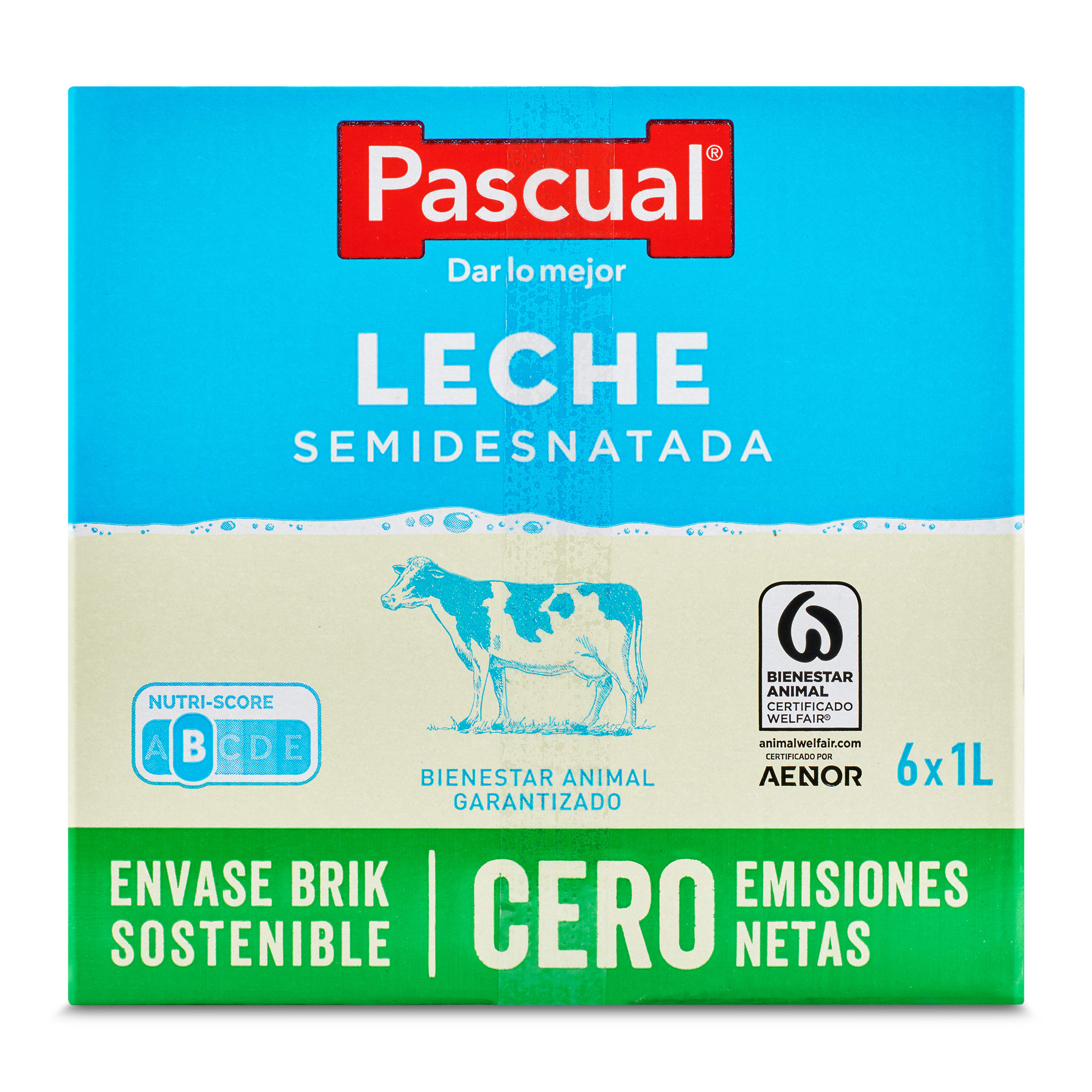 Leche semidesnatada Pascual pack 6 x 1 L