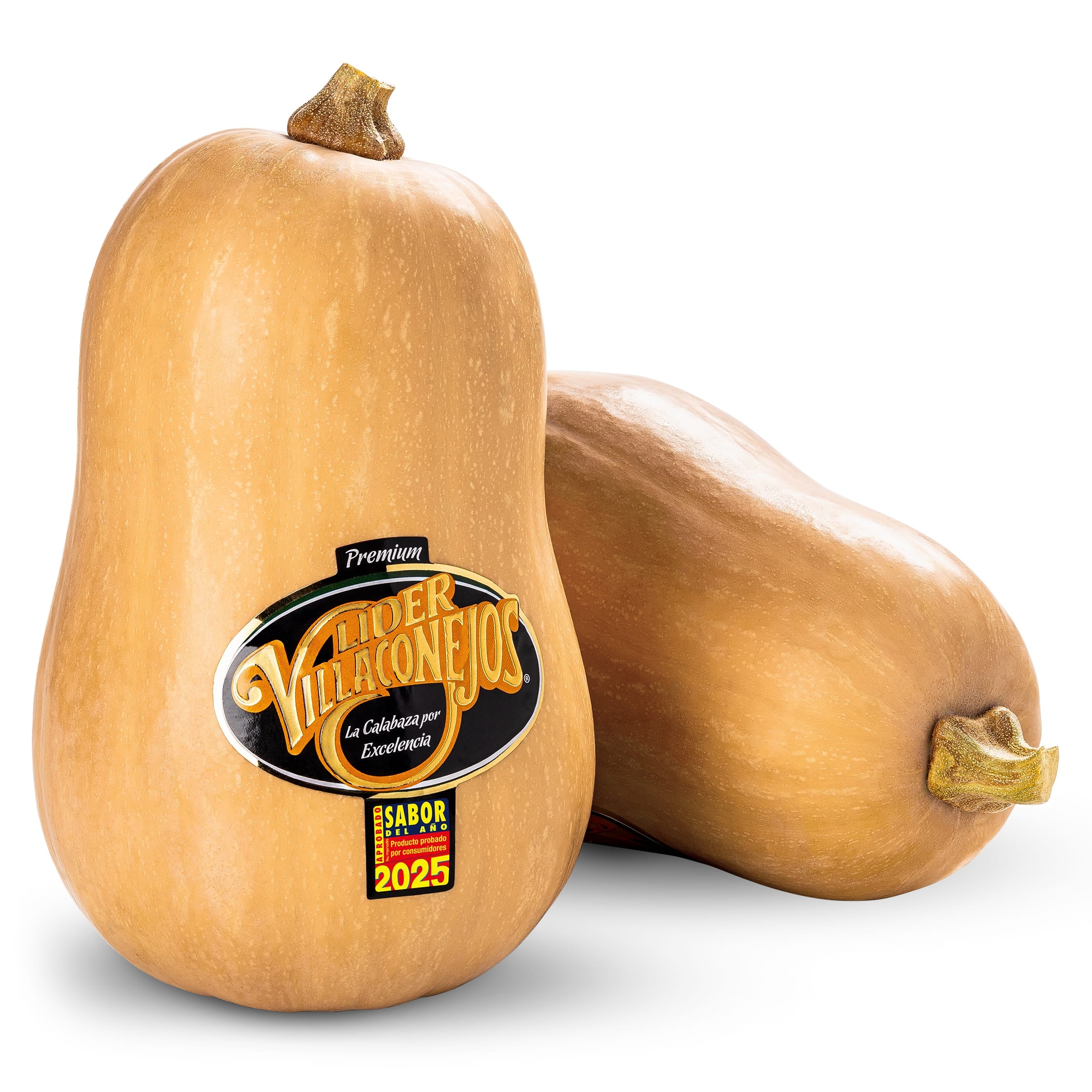 Calabaza 1.6 Kg aprox.